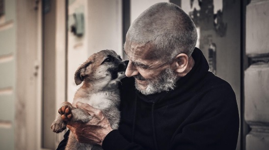 טיפול בקשישים בעזרת בעלי חיים